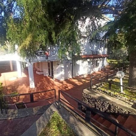 Villa Lia - Ischia Porto ภายนอก รูปภาพ